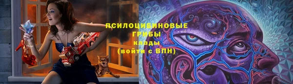гашик Балабаново