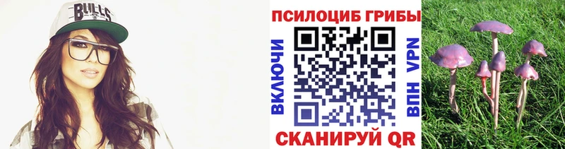 гидра как зайти  Туймазы  Галлюциногенные грибы Psilocybe 